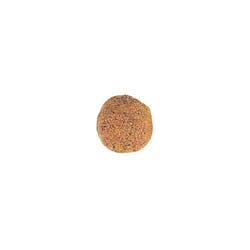 Hypoallergenic Small Dog 2 Kg 