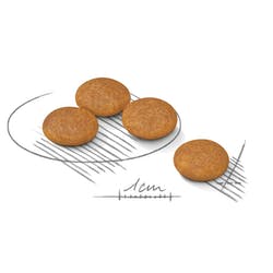 Mini Dermacomfort x 3 kg