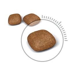 Urinary Care 1,5 Kg
