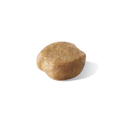 Yorkshire Terrier Adulto 1 Kg