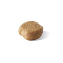 Yorkshire Terrier Adulto 1 Kg