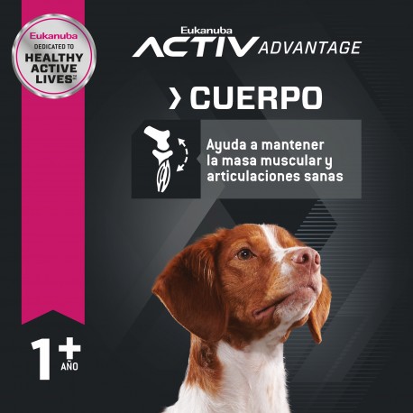Eukanuba Adult Medium Breed 3 KG