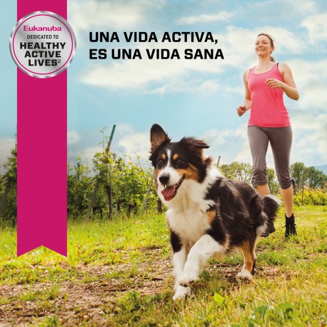 Eukanuba Adult Small Breed 1 KG