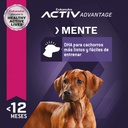 Eukanuba Puppy Large Breed 15 KG