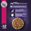 Eukanuba Puppy Medium Breed 3 KG