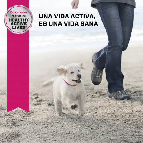 Eukanuba Puppy Small Breed 1 KG
