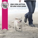 Eukanuba Puppy Small Breed 1 KG