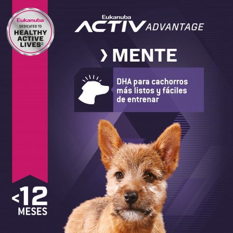 Eukanuba Puppy Small Breed 1 KG