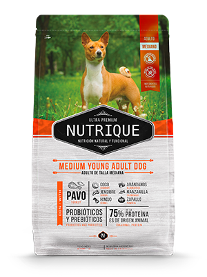 Nutrique Medium Young Adult Dog x 12kg
