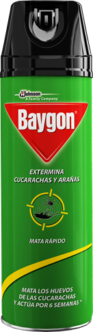 BAYGON MATA CUCARACHAS Y ARAÑAS X 197g