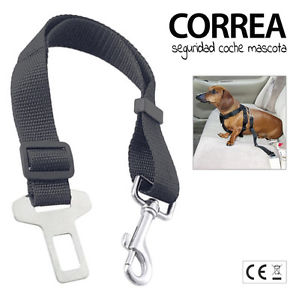 Cinturon de Seguridad 5 cm Regulable