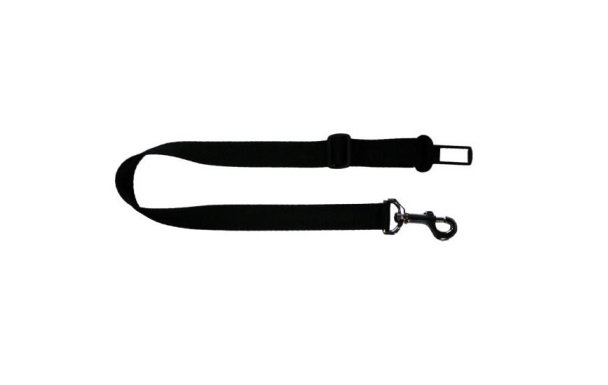 CINTURON DE SEGURIDAD - MISTER HUESO