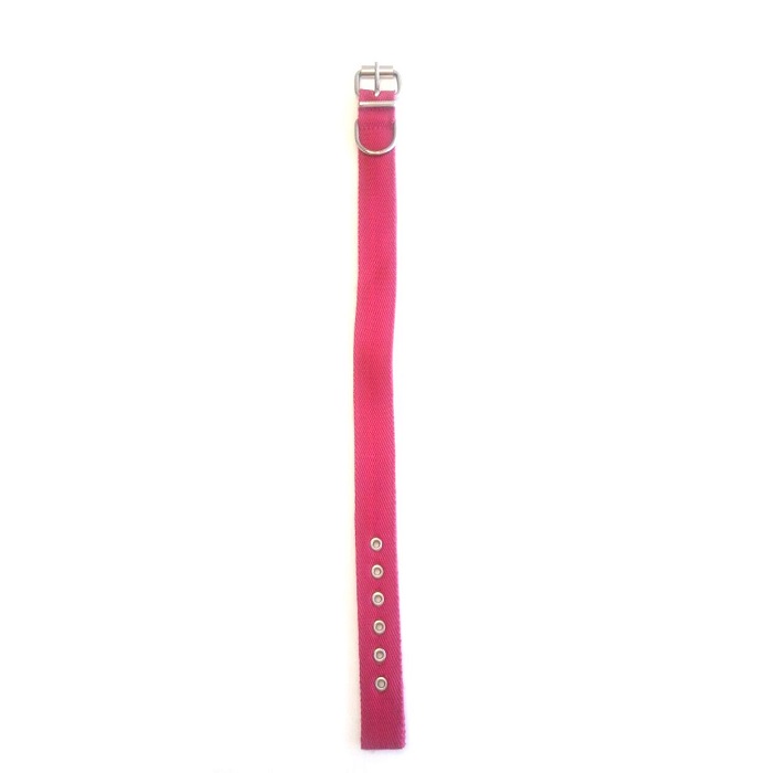 COLLAR DOBLE 30MM X 55CM - FAMILY PETS