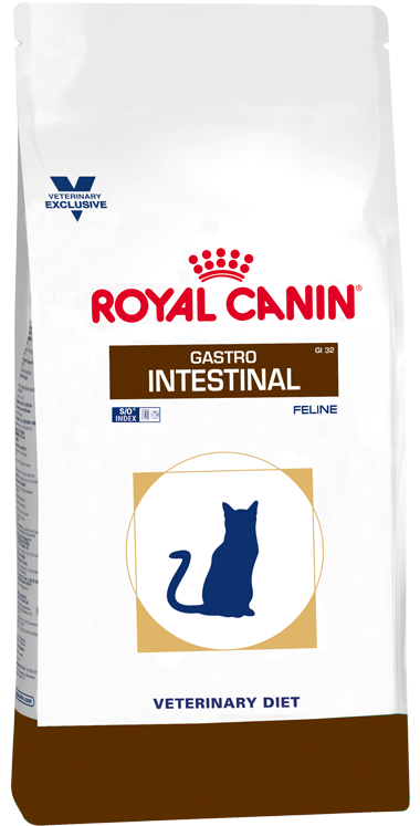 GASTROINTESTINAL FELINE