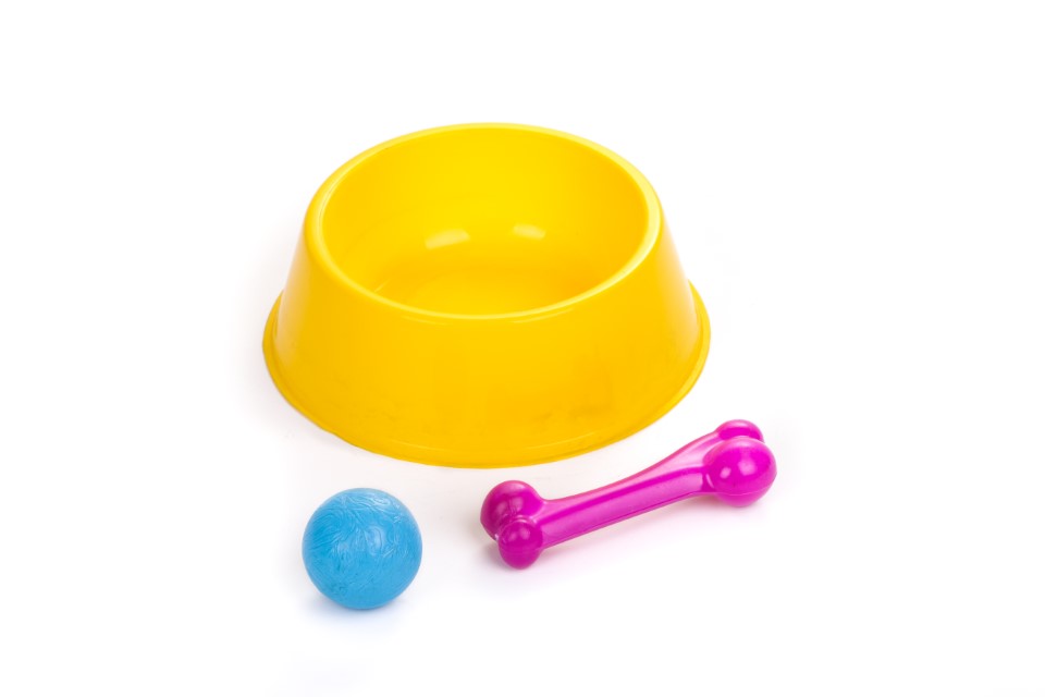 KIT PERRO ADULTO - PETS PLAST