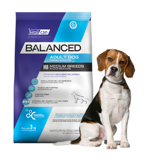 Balanced Perro Adulto Raza Mediana x 12 kg.