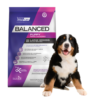 Balanced Perro Cachorro Raza Grande x 15 kg.