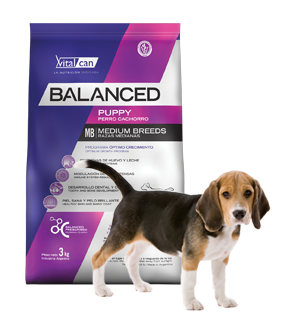 Balanced Perro Cachorro Raza Mediana x 12 kg.