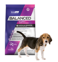 [31727] Balanced Perro Cachorro Raza Mediana x 12 kg.