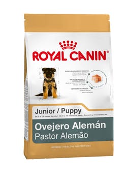 Ovejero Alemán Puppy