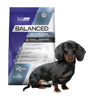 Balanced Perro Senior Raza Pequeña x 3 kg.