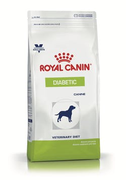 DIABETIC CANINE