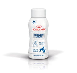 Royal Canin Recovery Liquid para perros y gatos x 3 botellas de 200 ml