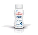 Royal Canin Recovery Liquid para perros y gatos x 3 botellas de 200 ml
