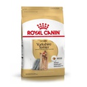 Yorkshire Terrier Adulto