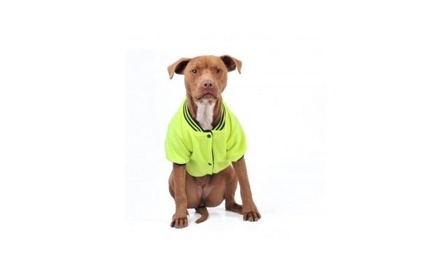 CAMPERA POLAR REVERSIBLE Nº9 65 CM. - PER-ROS
