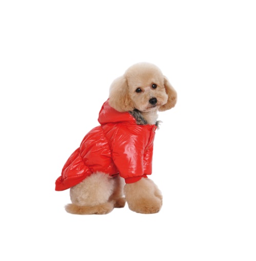 CAMPERA INFLABLE C/PIEL TALLE XXL - PER-ROS