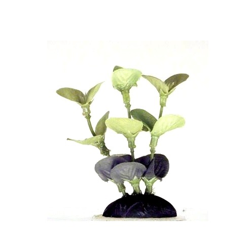 PLANTA TELA SMALL - ANUBIAS PPBT2 - PENNPLAX