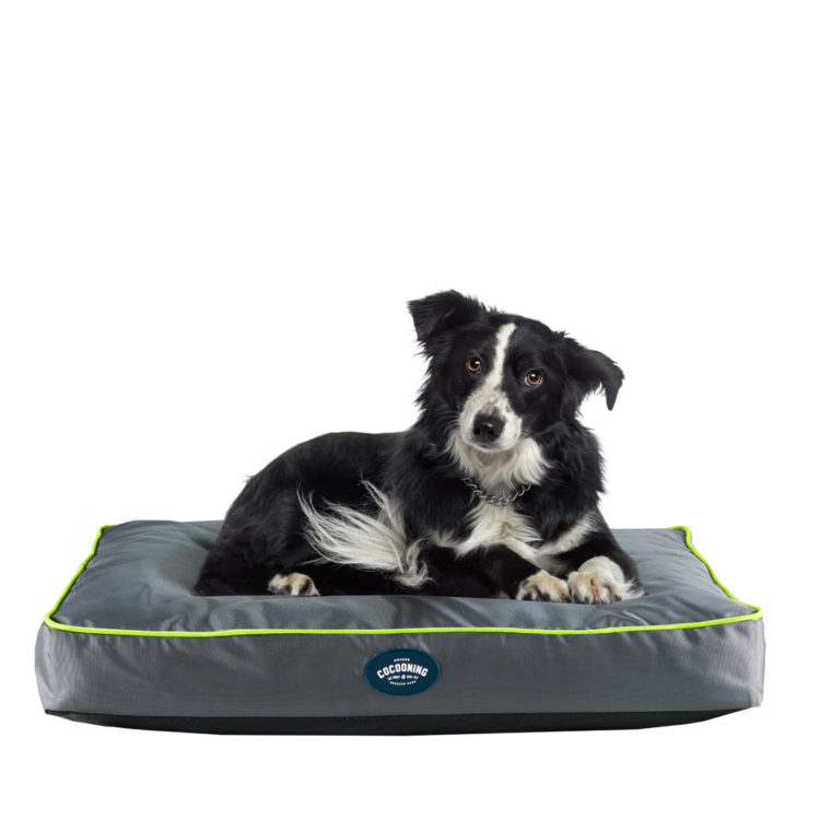 DAVID CAMA RECTAN. IMPERMEABLE SM. 80x55 cm-630025