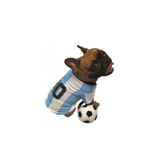 CAMISETA ARGENTINA  T5 45CM