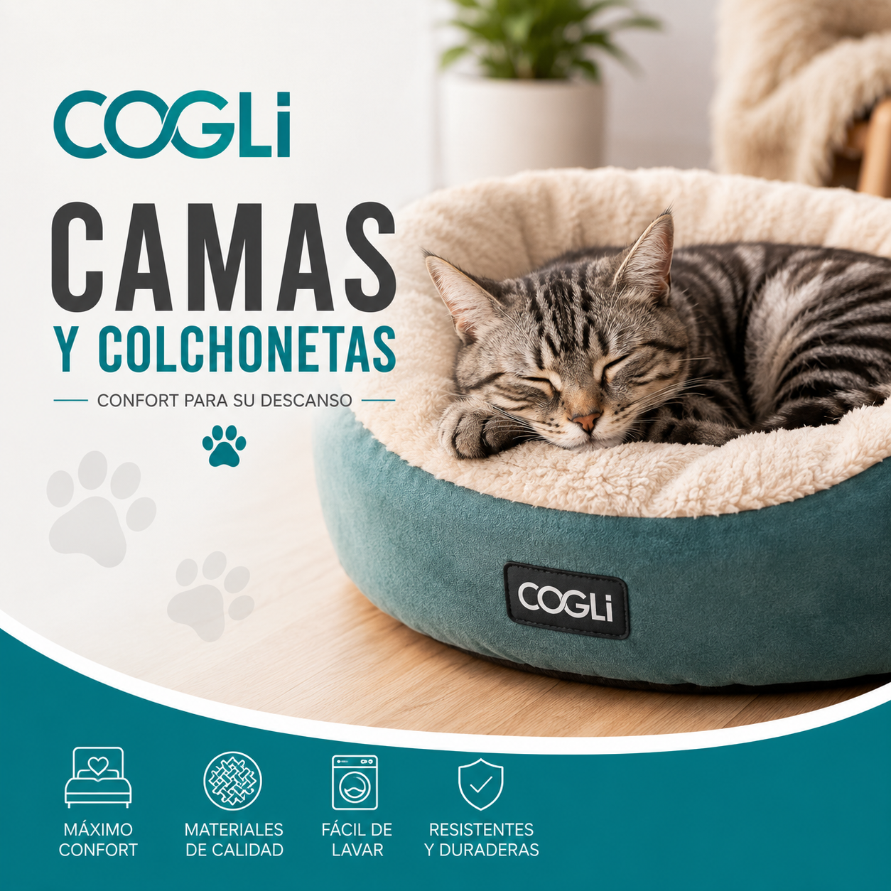 CAMAS / COLCHONETAS