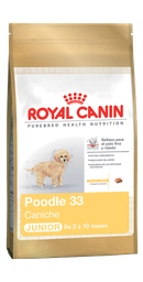 [3812010] Caniche Puppy