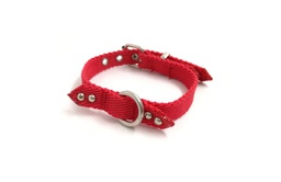[622207] COLLAR NYLON FINO FANTASIA 35X1,5CM. MISTER HUESO
