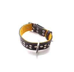 [154314] COLLAR SUELA C/PUAS O APLIQUES MEDIANOS - PER-ROS