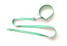 [620320] CONJ. COLLAR MEDIO 40CM. Y CORREA MEDIA 120CM. - MISTER HUESO