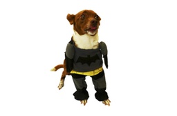 [150812] DISFRAZ BATMAN Nº4 40 CM.- PER-ROS