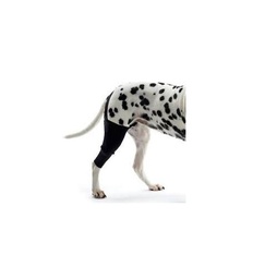 [151137] FAJA CARPEANA 50MM GRANDE - PER-ROS