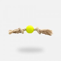 [101702] HUESO SIMPLE N°2