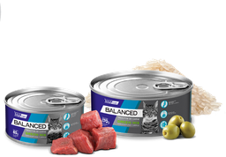 [21729] Vital Can Balanced Gato Orange Mix 170gr 