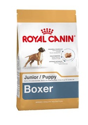 [3814120] Boxer Puppy