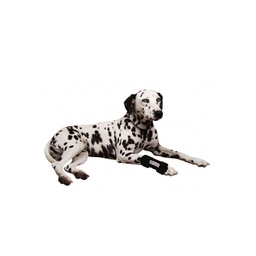 [151111] ORT. SOPORTE DE CARPO 15 X 20 CM - PER-ROS