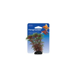 [10386] PLANTA SMALL  CABOMBA PPBT21 - PENNPLAX